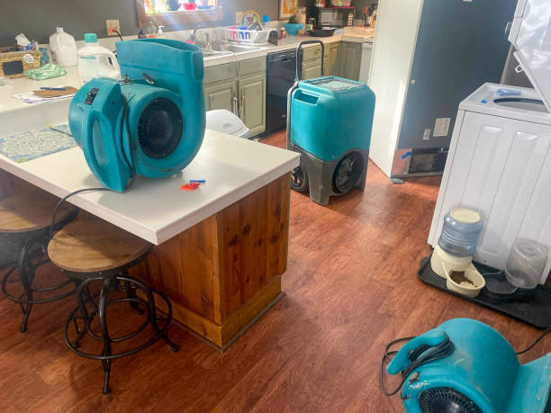 Best Professional water damage repair  in Monument, CO