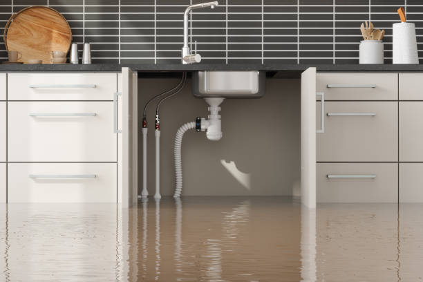 Best Emergency water damage restoration  in Monument, CO